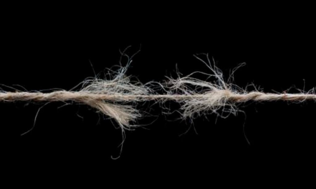 El terremoto en el PPD