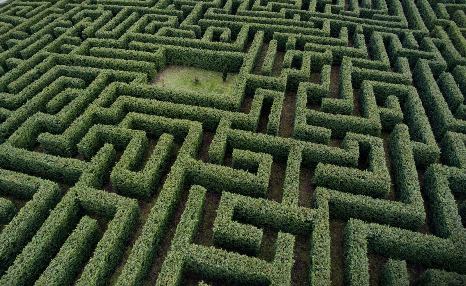 Laberinto Derecha La Citroneta