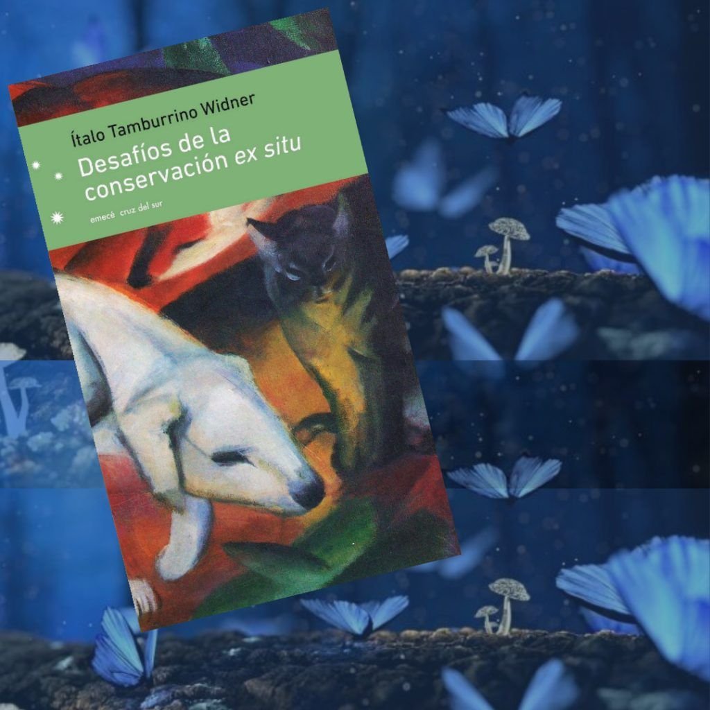 Comentario Literario. Italo Tamburrino Cuentos