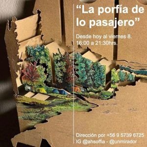 La porfïa de lo pasajero, Andrés Soffia